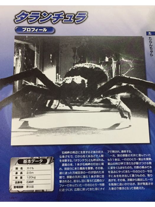 塔蘭丘拉(塔拉泰拉)