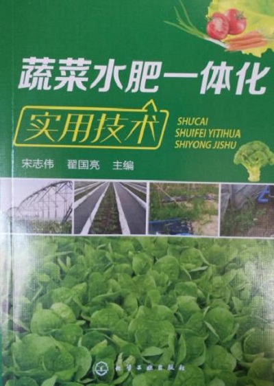 蔬菜水肥一體化實用技術