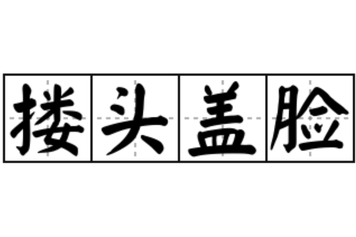 摟頭蓋臉 摟頭蓋臉