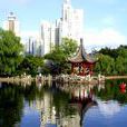 和平公園(上海市虹口區和平公園)