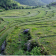余坑村 余坑村