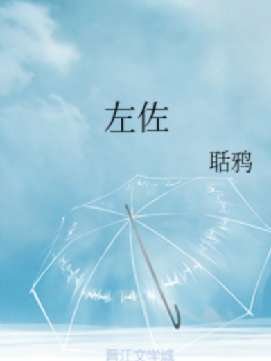 左佐(小說) 左佐(小說)
