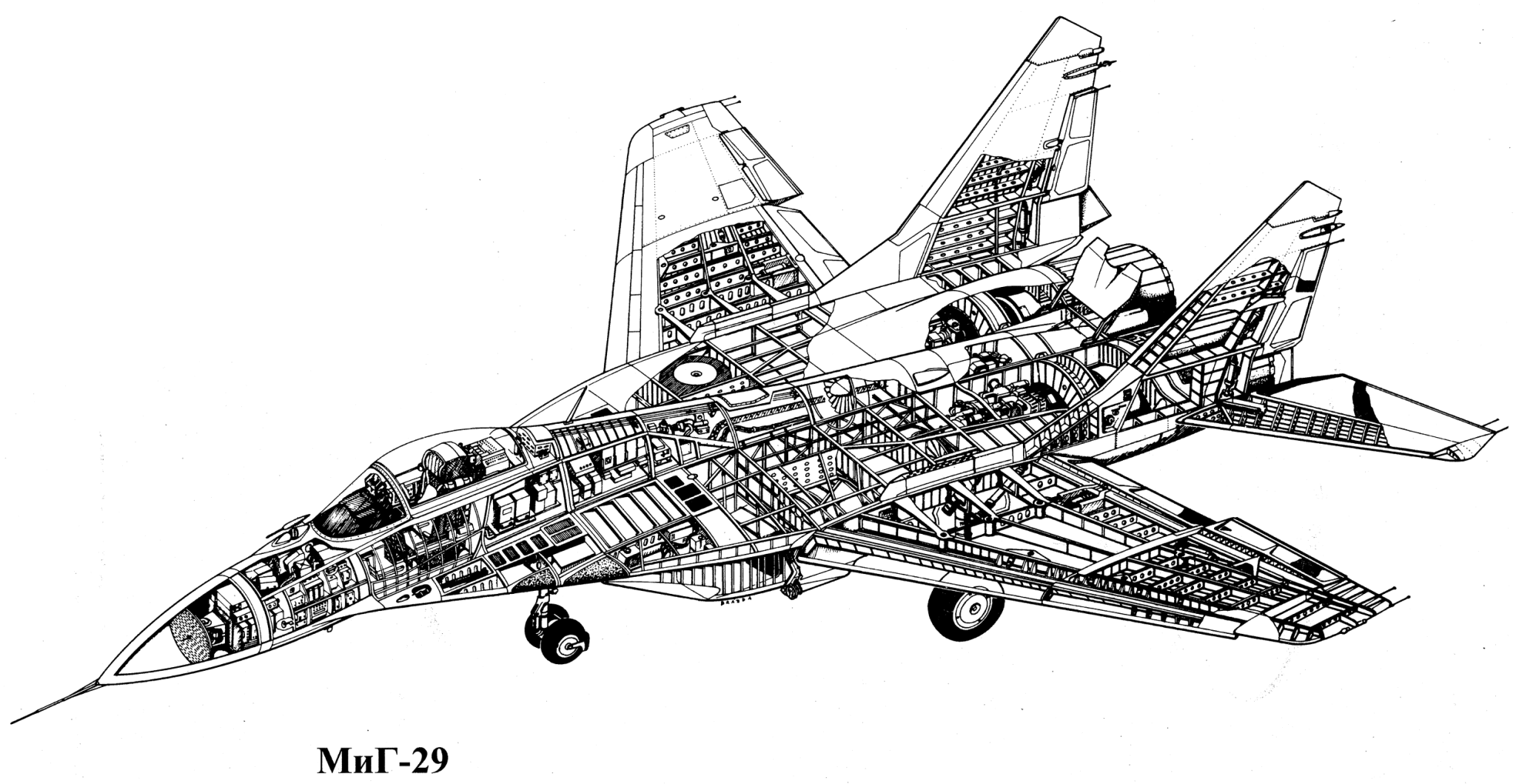 米格-29剖視圖