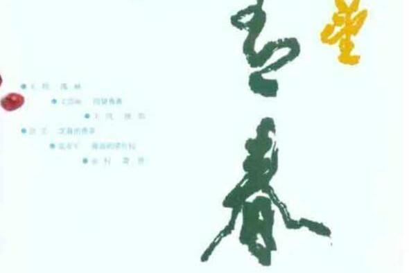 回望青春 回望青春