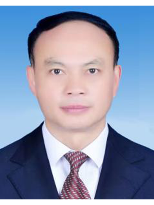 蔡洪斌(貴州省黔西南布依族苗族自治州冊亨縣委副書記、縣委人才工作領導小組副組長)