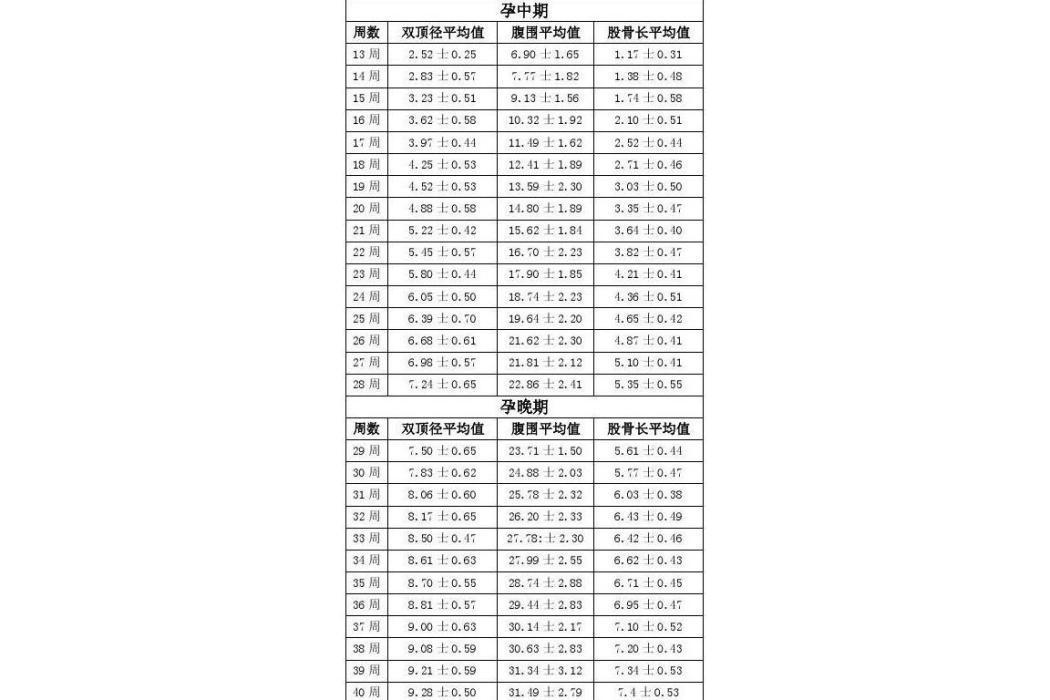 腹圍(婦產科檢查項目)