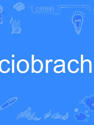 faciobrachial faciobrachial
