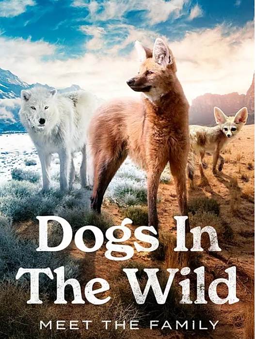 野犬家族 野犬家族