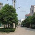 梅苑村 梅苑村