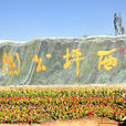 西坪公園 西坪公園