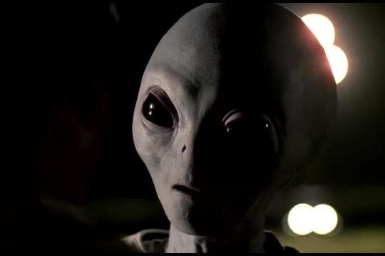 星際老實人 星際老實人