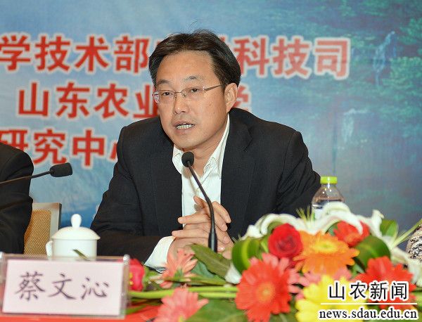 蔡文沁 蔡文沁