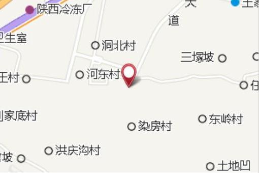 銀李 銀李