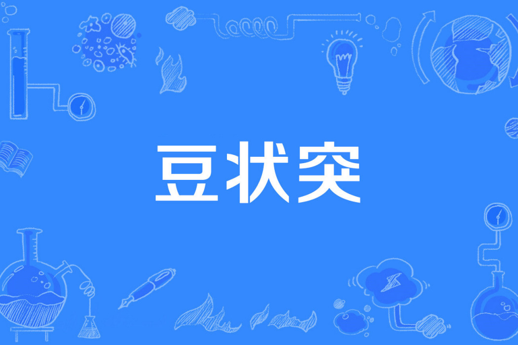 豆狀突 豆狀突
