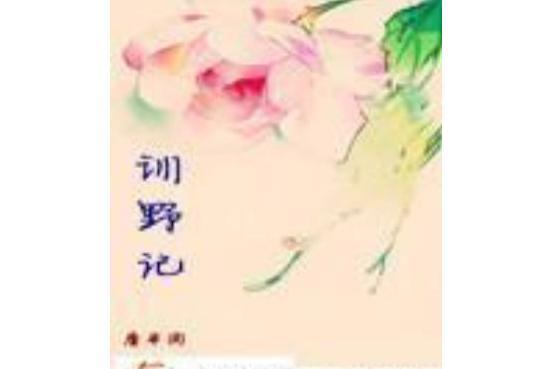 訓野記 訓野記