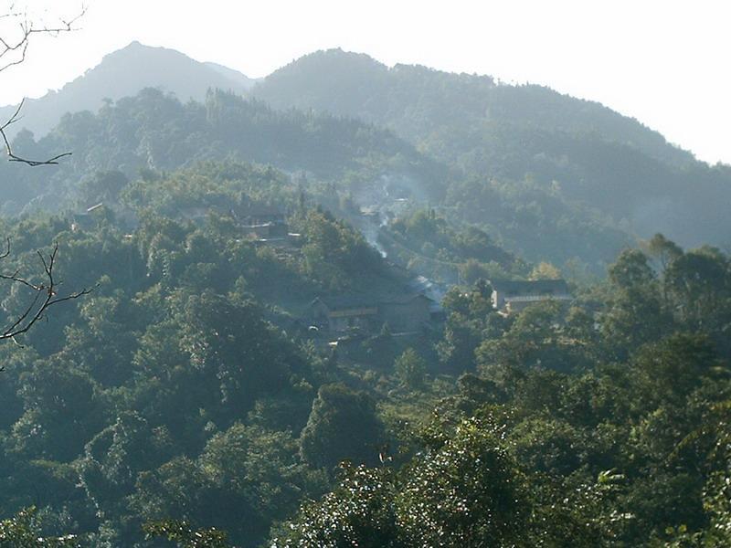 花打白村 花打白村