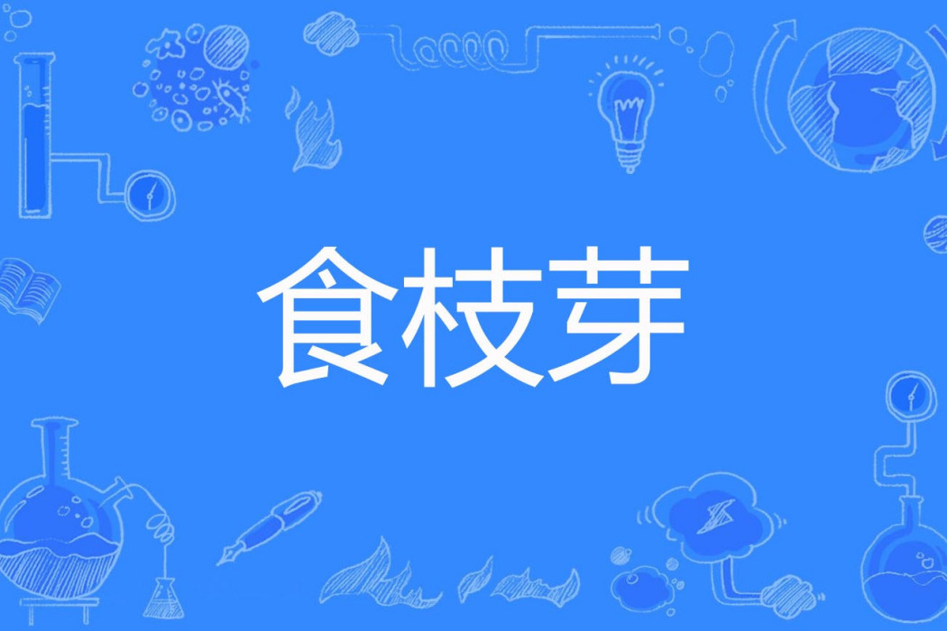 食枝芽 食枝芽