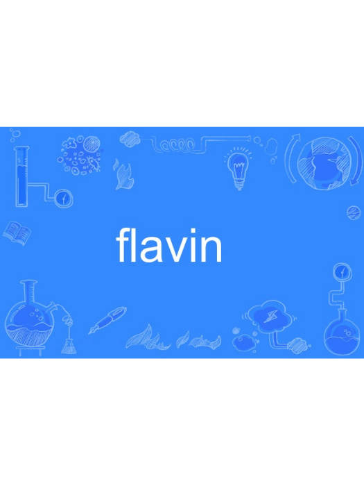 flavin flavin