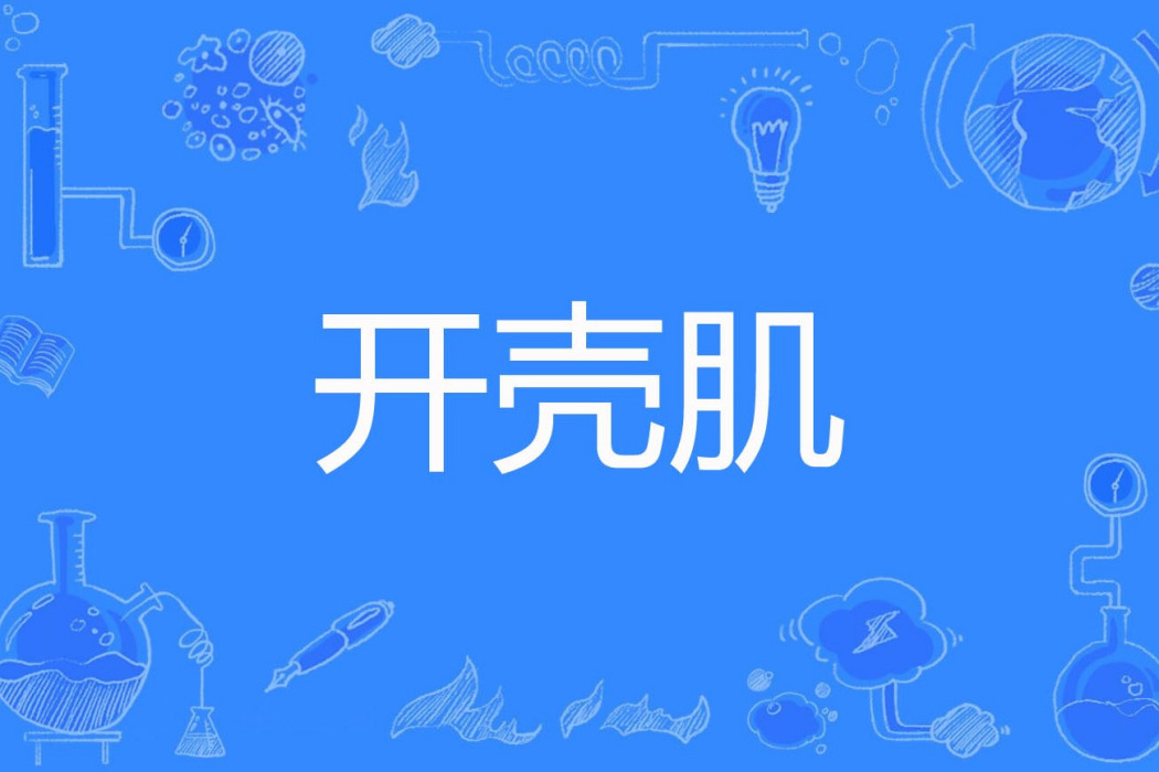 開殼肌