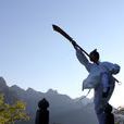 武術(中國武術) 武術(中國武術)
