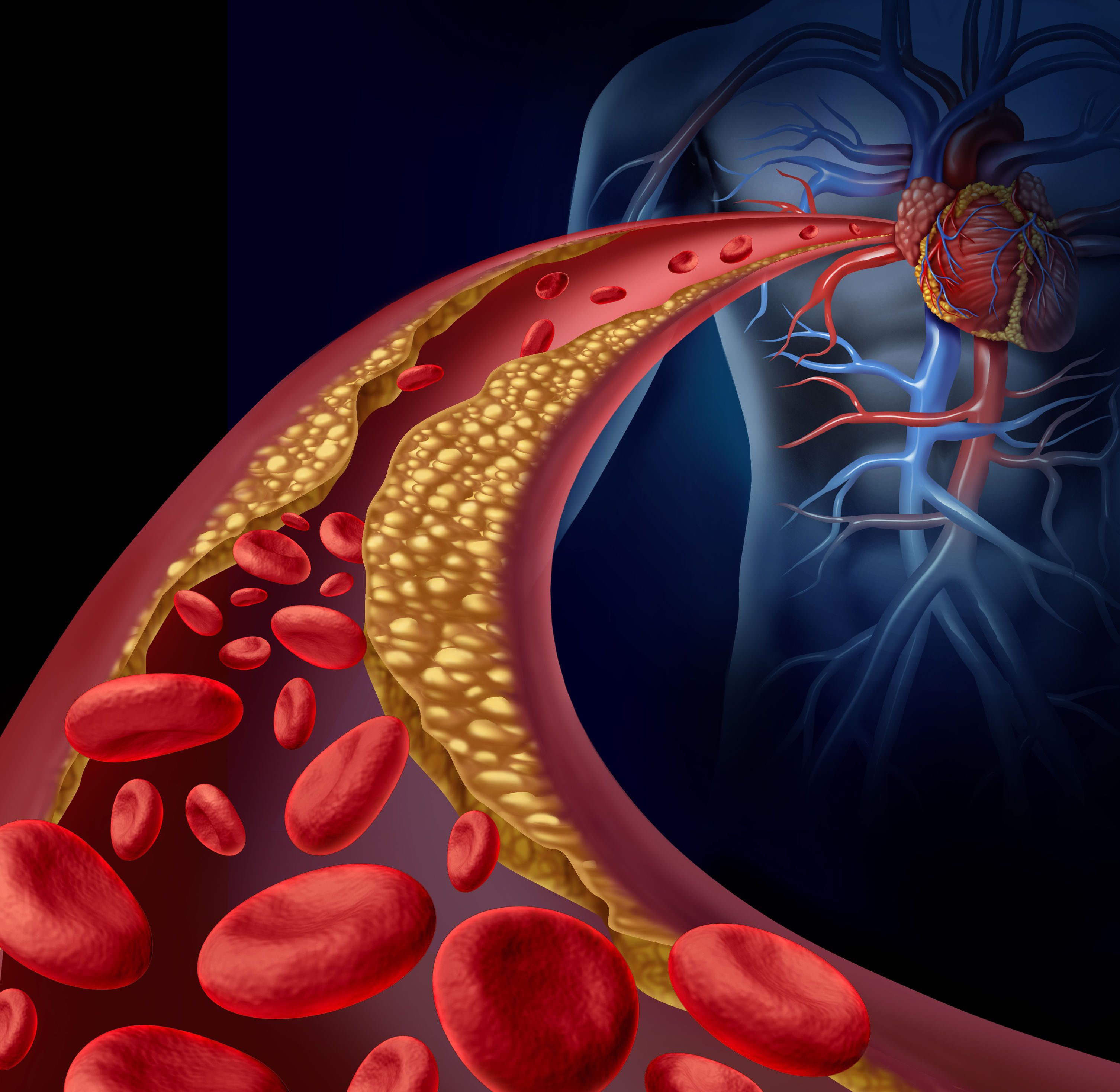 心血管暢通是健康之本，橡膠樹種子油可以預防與治療心血管疾病