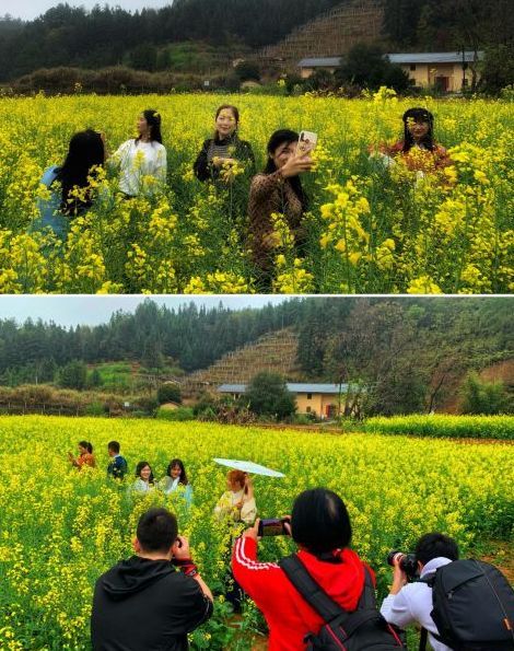 賞花游 賞花游