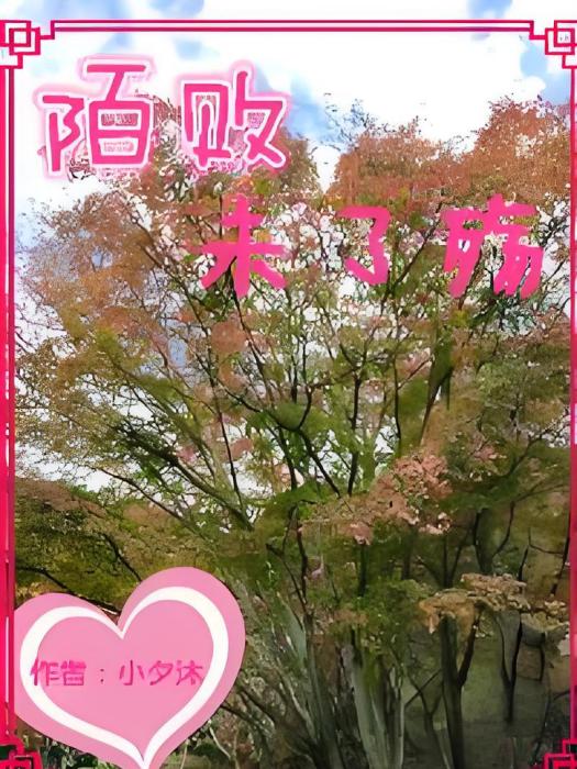陌敗未了殤 陌敗未了殤