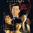 暴雨梨花(2006年王晶執導電視劇)