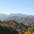 金山廟村 金山廟村