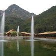 牛盆峪村