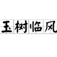 玉樹臨風(詞語) 玉樹臨風(詞語)