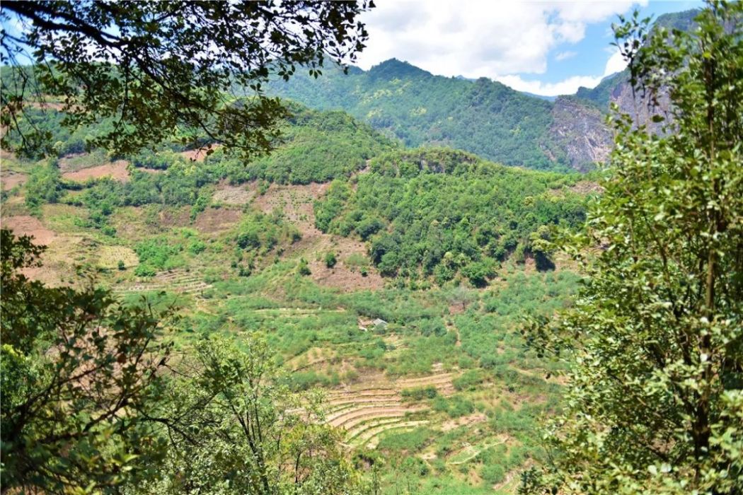 白嶺崗村 白嶺崗村
