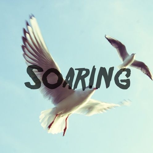 Soaring Soaring