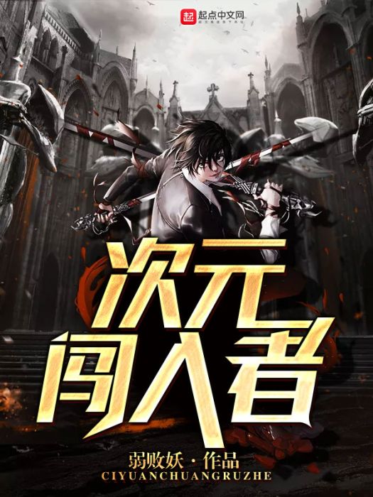 次元闖入者 次元闖入者