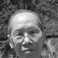 文曉村 文曉村