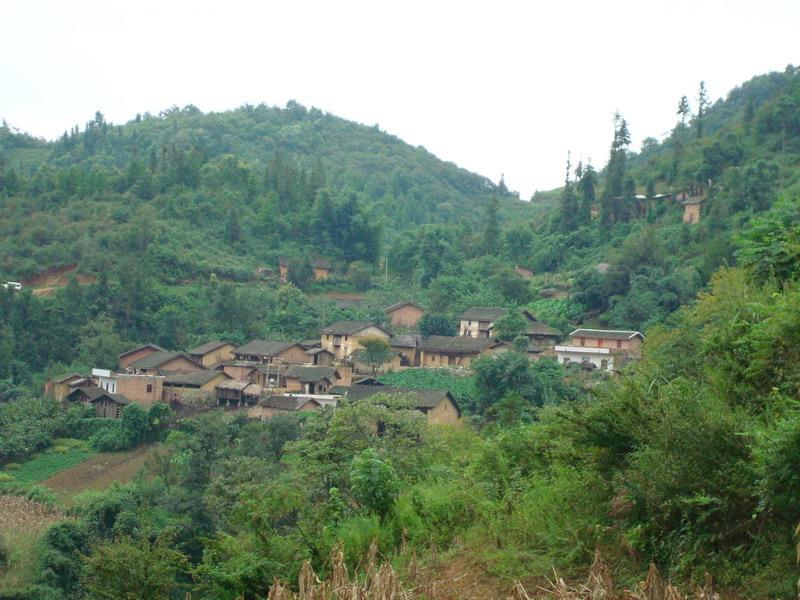 打卡村 打卡村