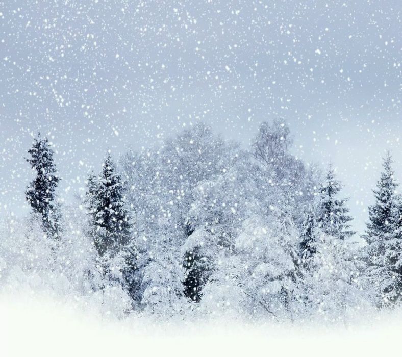甲午雪 甲午雪