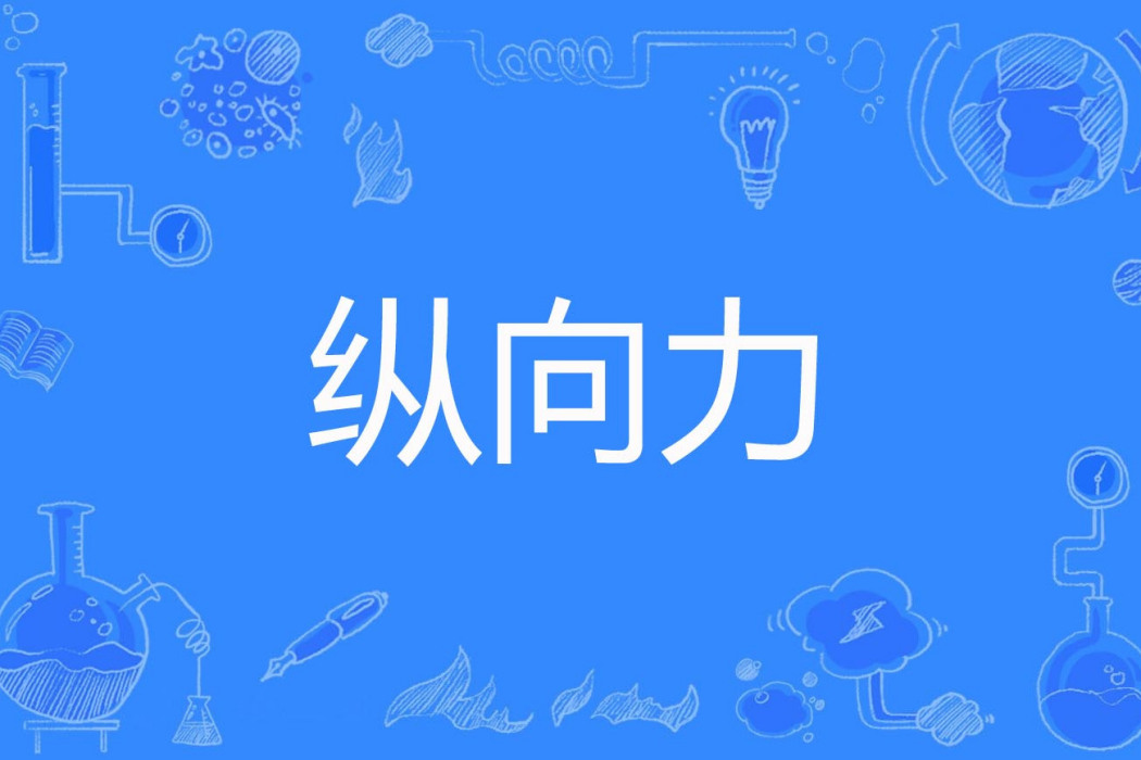 縱向力 縱向力