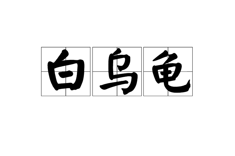 白烏龜