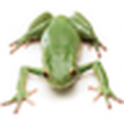 蛙類科普 蛙類科普