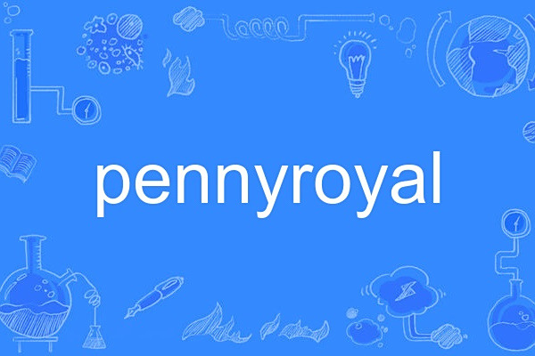 pennyroyal pennyroyal