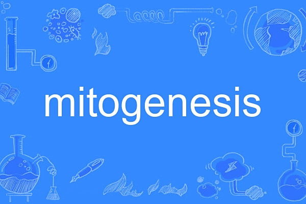 mitogenesis mitogenesis