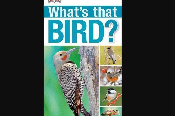 What\x27s That Bird What\x27s That Bird