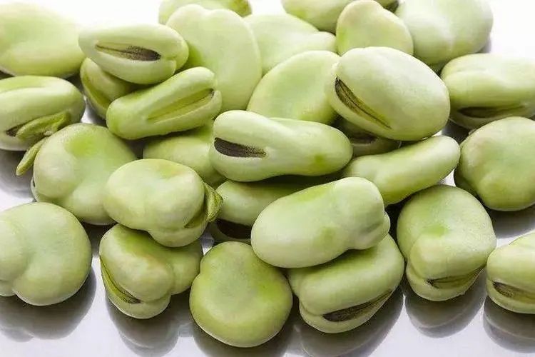 通鮮2號 通鮮2號