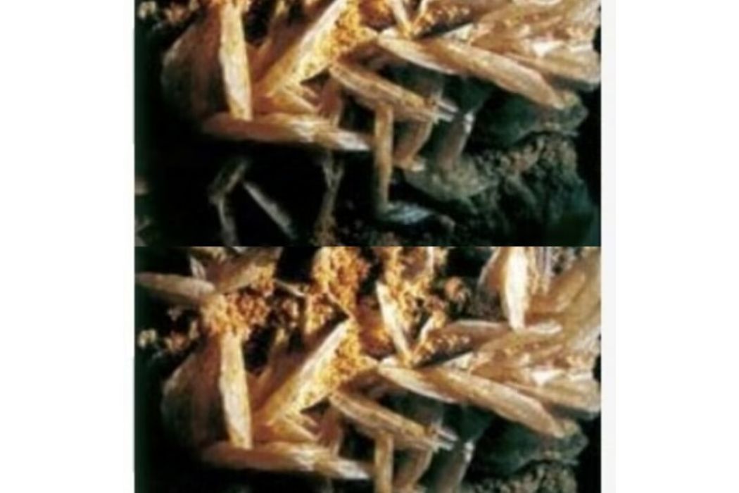明帆石 明帆石