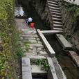 井水不犯河水