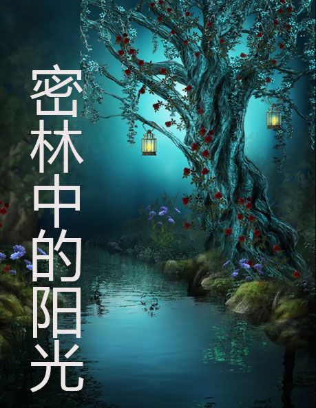 密林中的陽光
