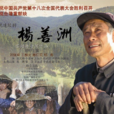 楊善洲(2012年張紹林執導的電視劇)