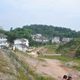 大橋村(四川省閬中市文成鎮大橋村) 大橋村(四川省閬中市文成鎮大橋村)