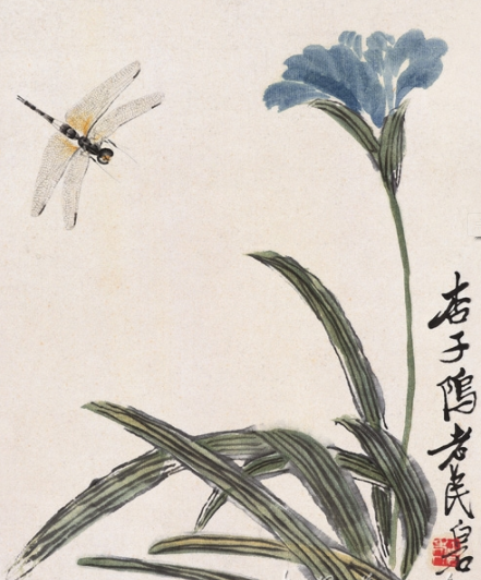花卉蜻蜓 花卉蜻蜓